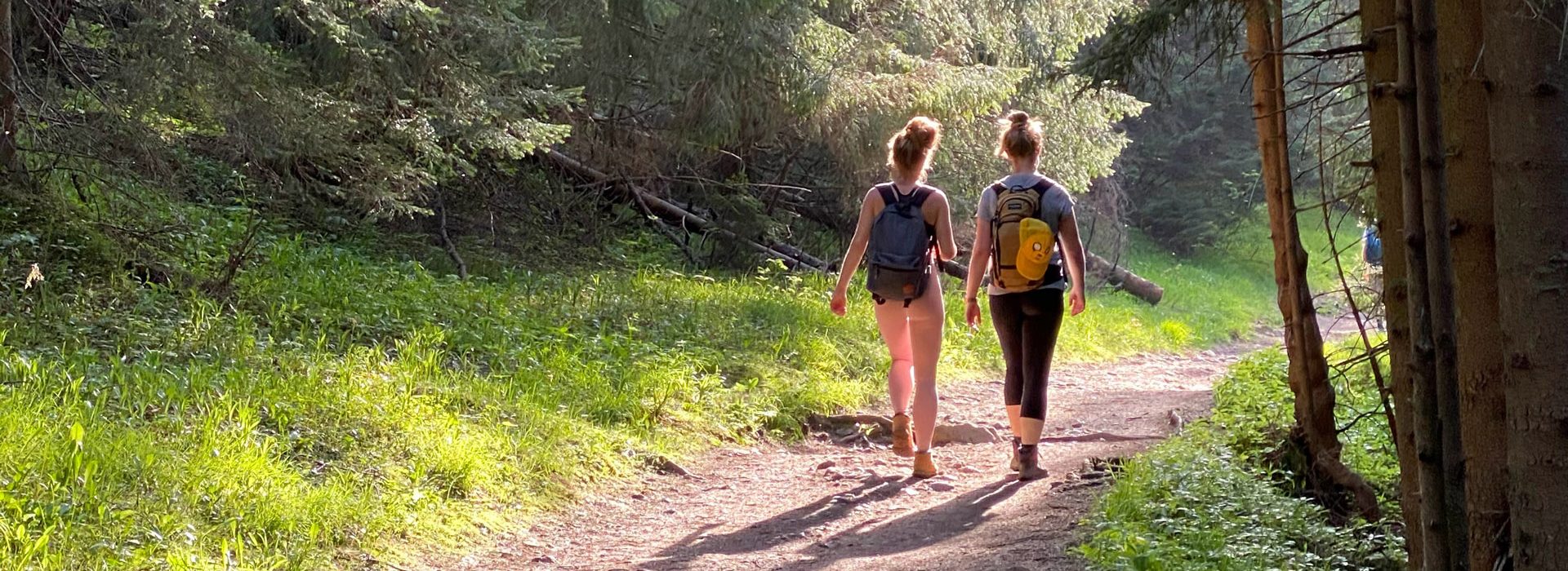 Two people on a hike